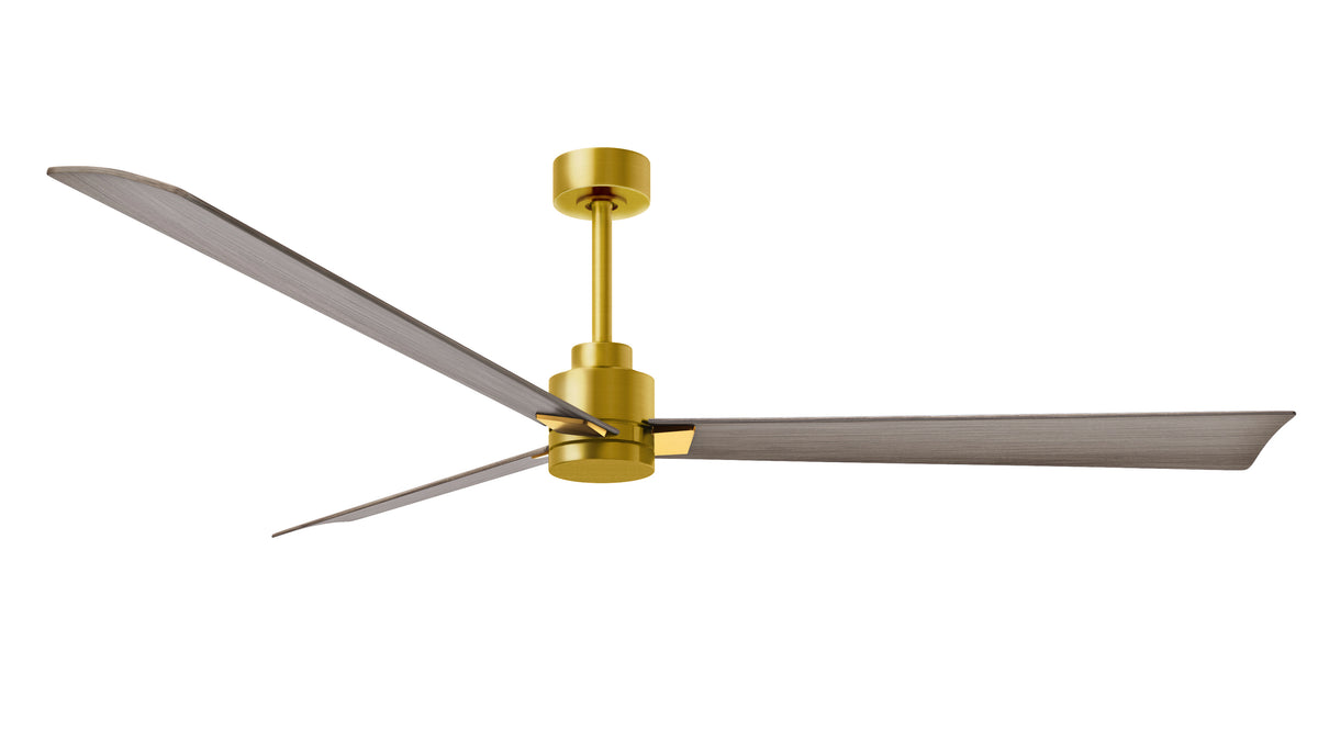 Alessandra - Ceiling Fan