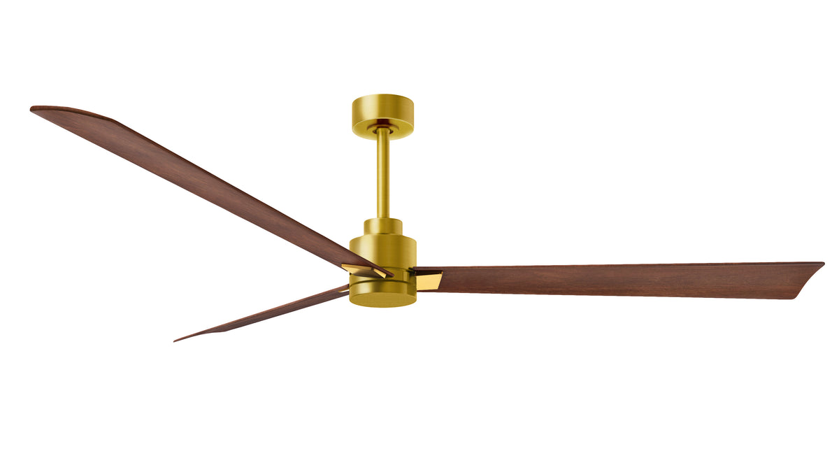 Alessandra - Ceiling Fan