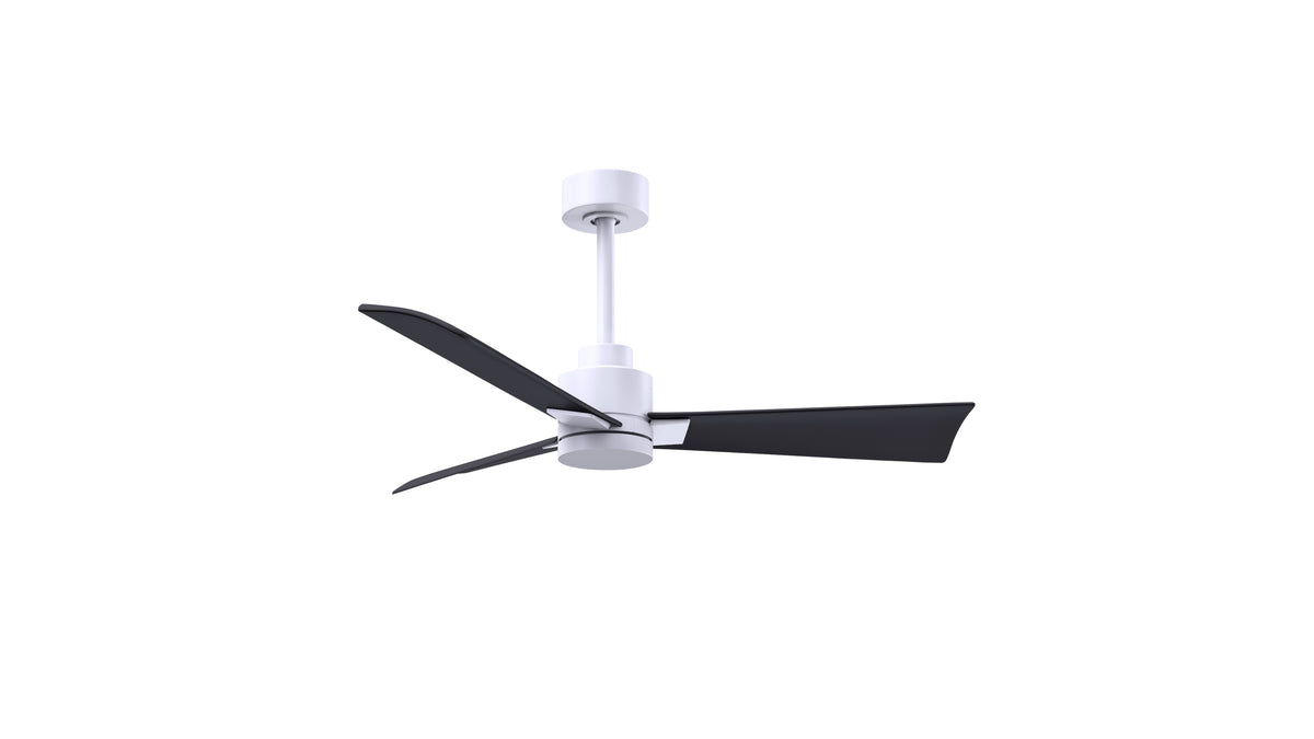 Alessandra - Ceiling Fan