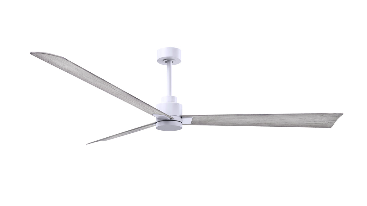 Alessandra - Ceiling Fan