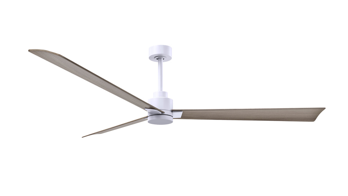 Alessandra - Ceiling Fan