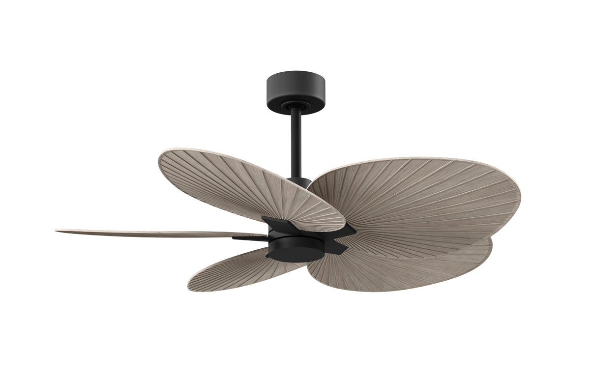 Alessandra Tropical - Ceiling Fan