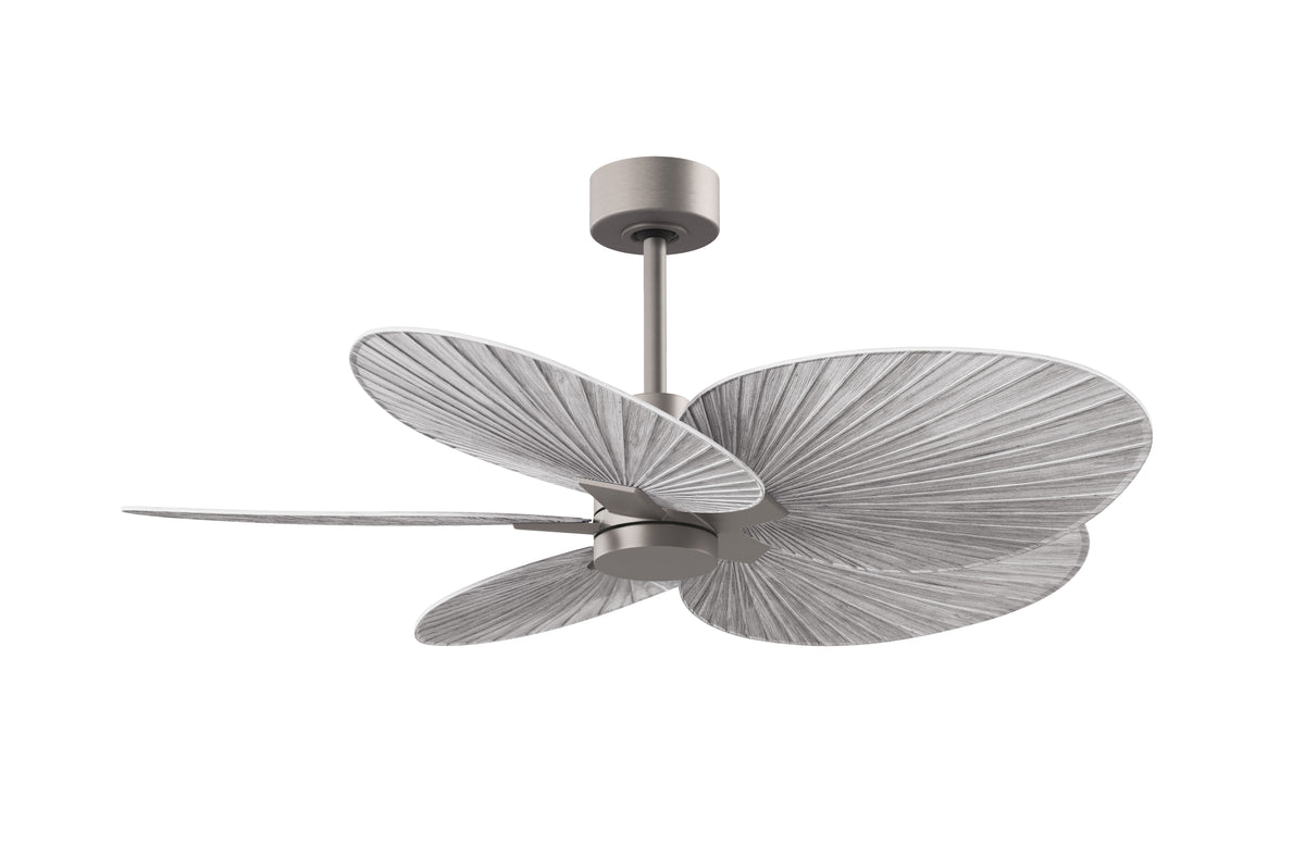 Alessandra Tropical - Ceiling Fan