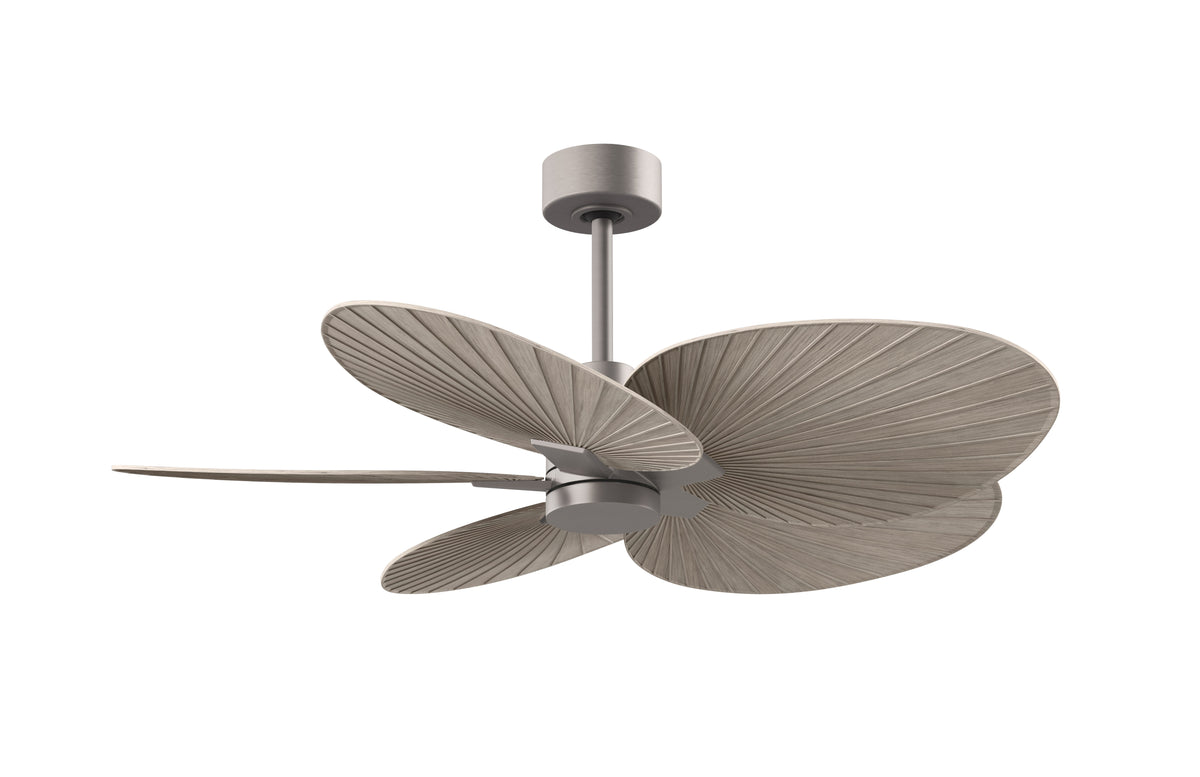 Alessandra Tropical - Ceiling Fan