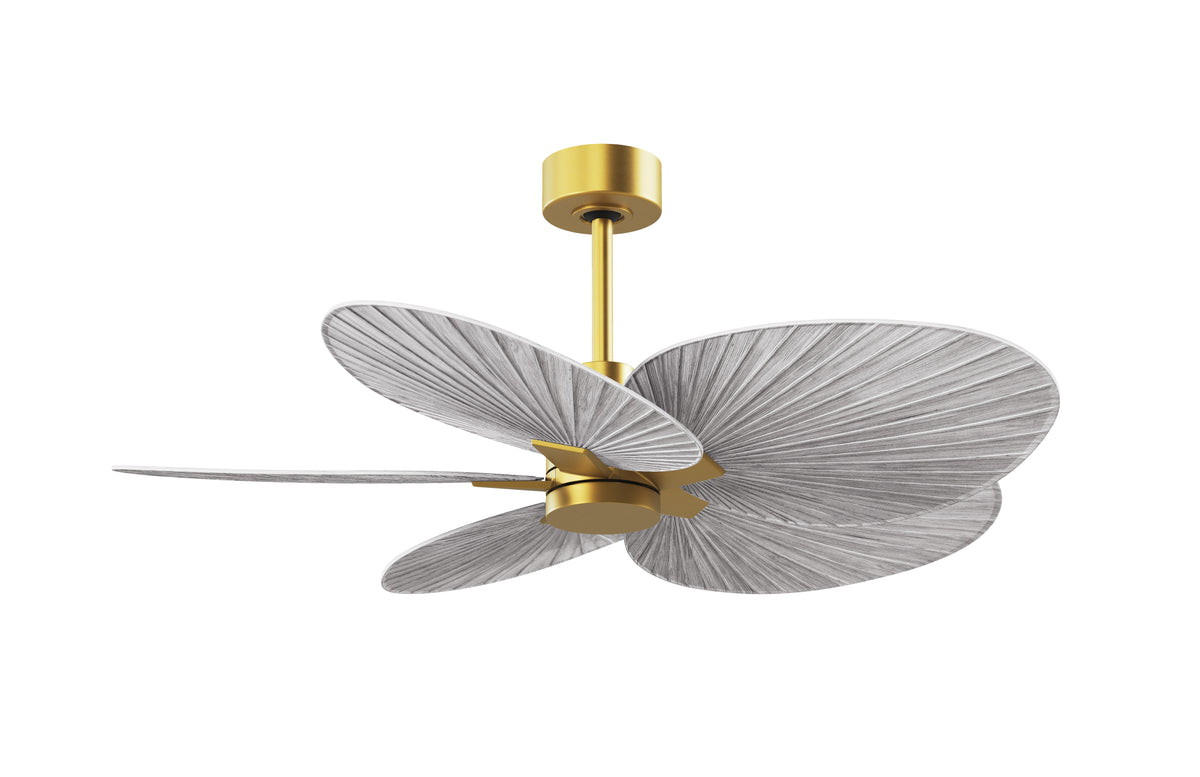 Alessandra Tropical - Ceiling Fan