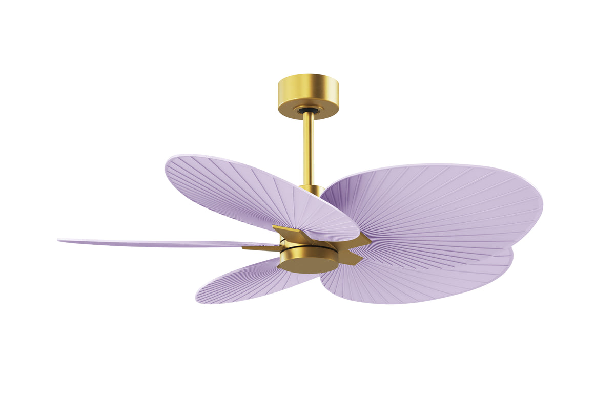 Alessandra Tropical - Ceiling Fan