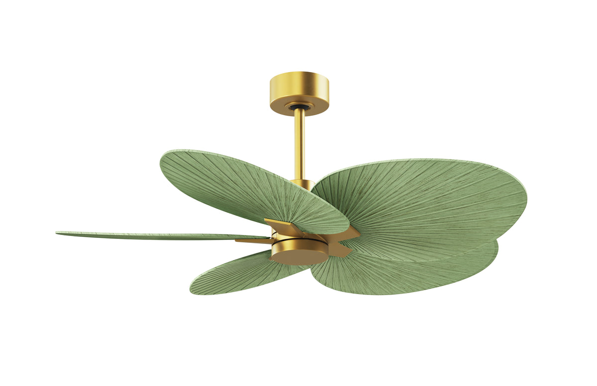 Alessandra Tropical - Ceiling Fan
