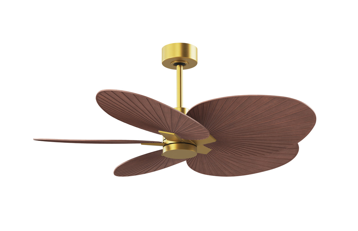 Alessandra Tropical - Ceiling Fan