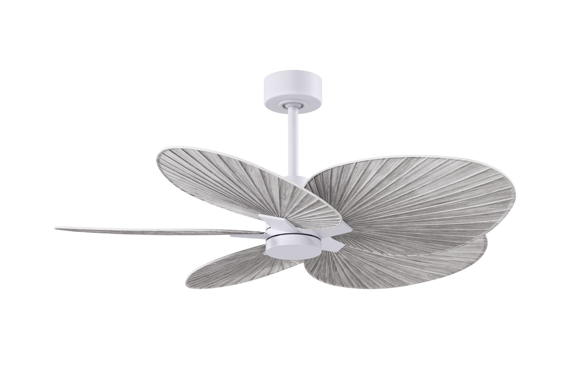 Alessandra Tropical - Ceiling Fan