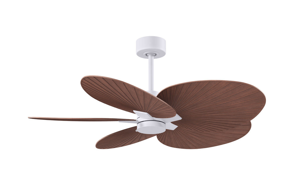 Alessandra Tropical - Ceiling Fan