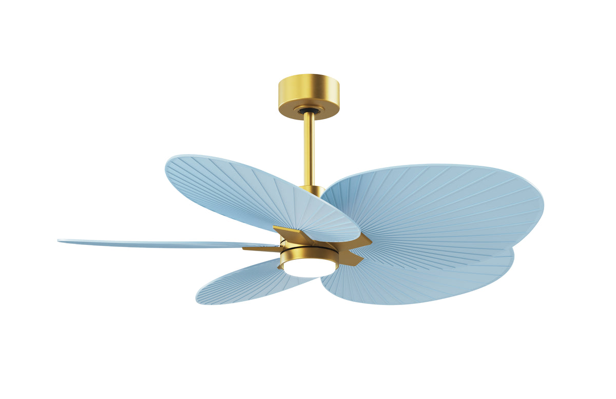 Alessandra Tropical - LK - Ceiling Fan