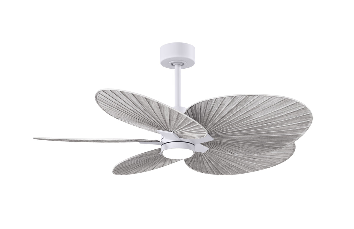 Alessandra Tropical - LK - Ceiling Fan