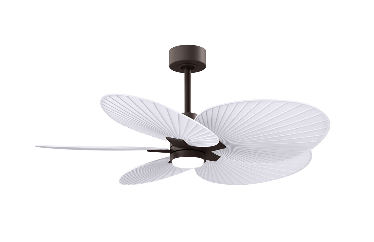 Alessandra Tropical - LK - Ceiling Fan