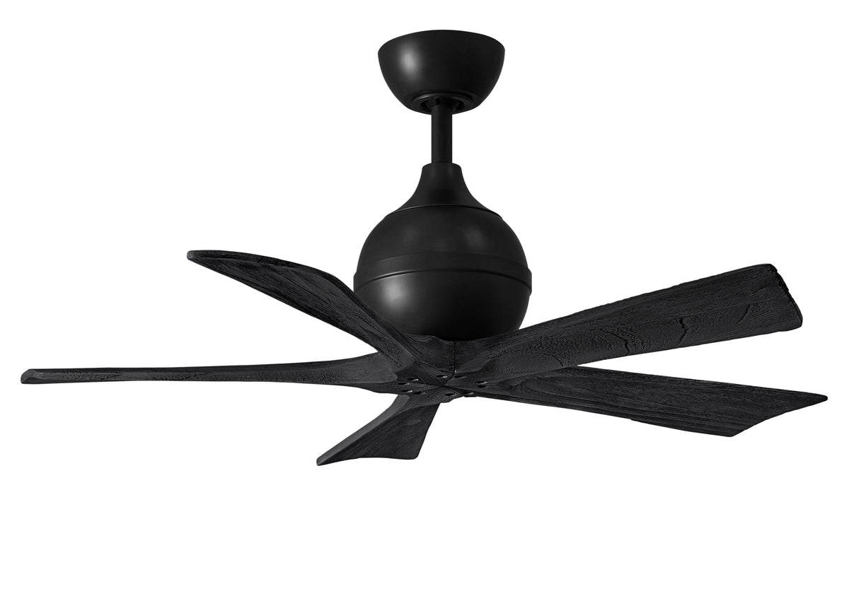 Irene-5 - Ceiling Fan