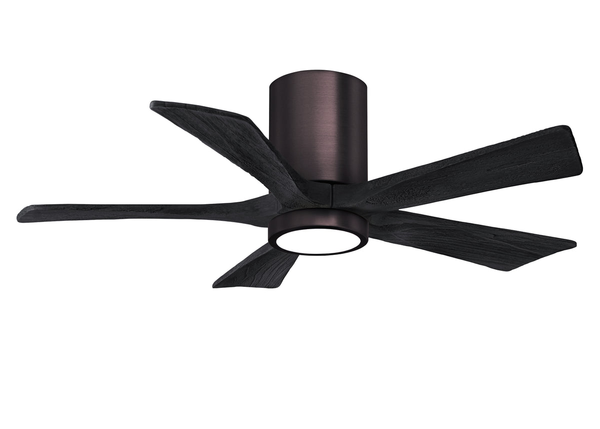Irene-5HLK - Ceiling Fan