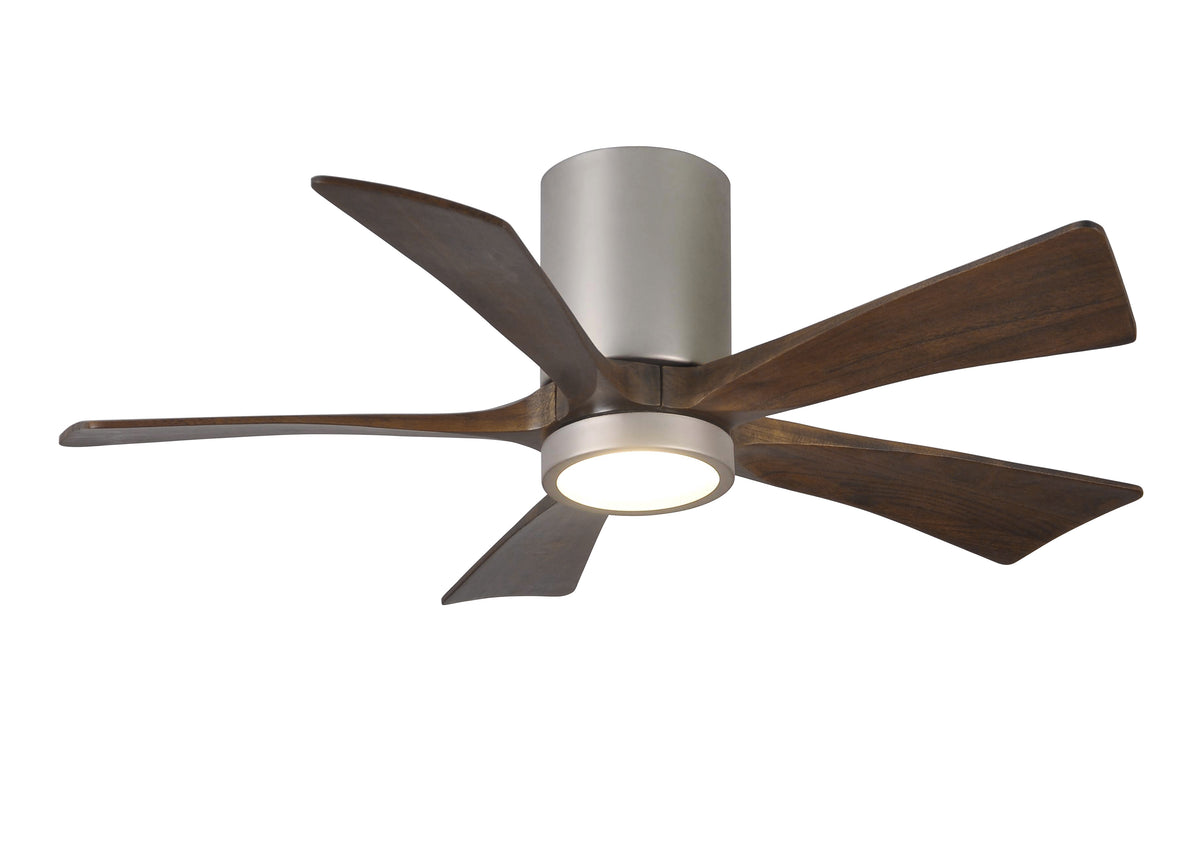 Irene-5HLK - Ceiling Fan