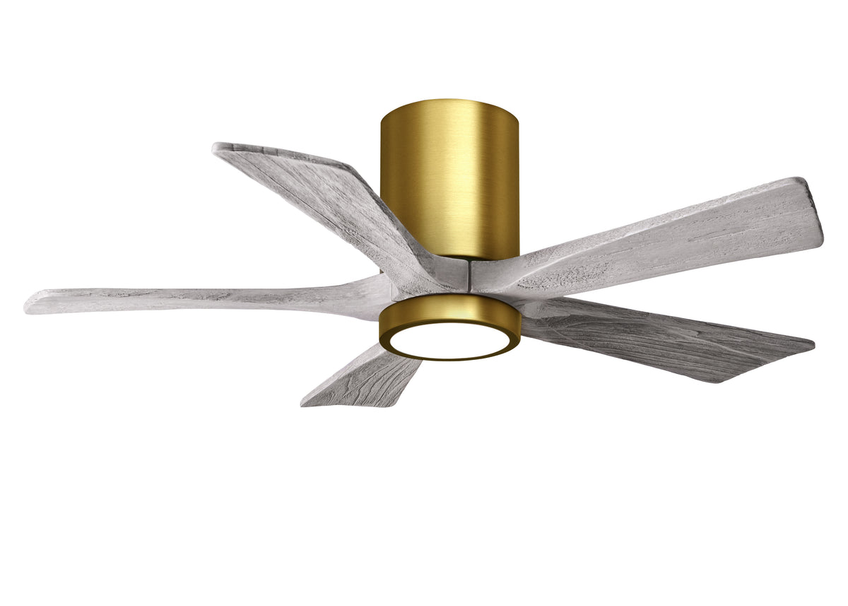 Irene-5HLK - Ceiling Fan