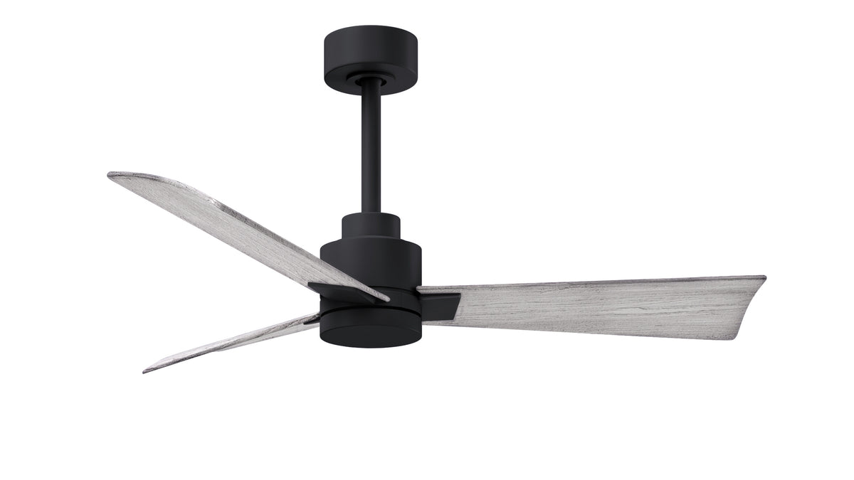 Alessandra - Ceiling Fan