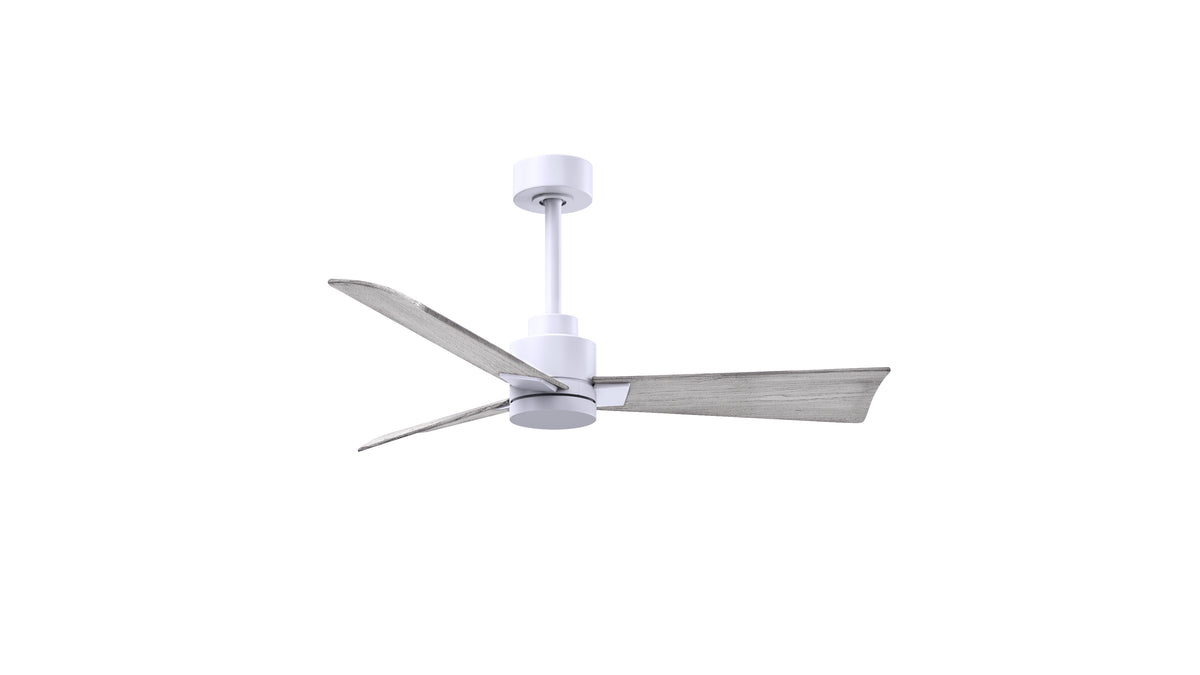 Alessandra - Ceiling Fan