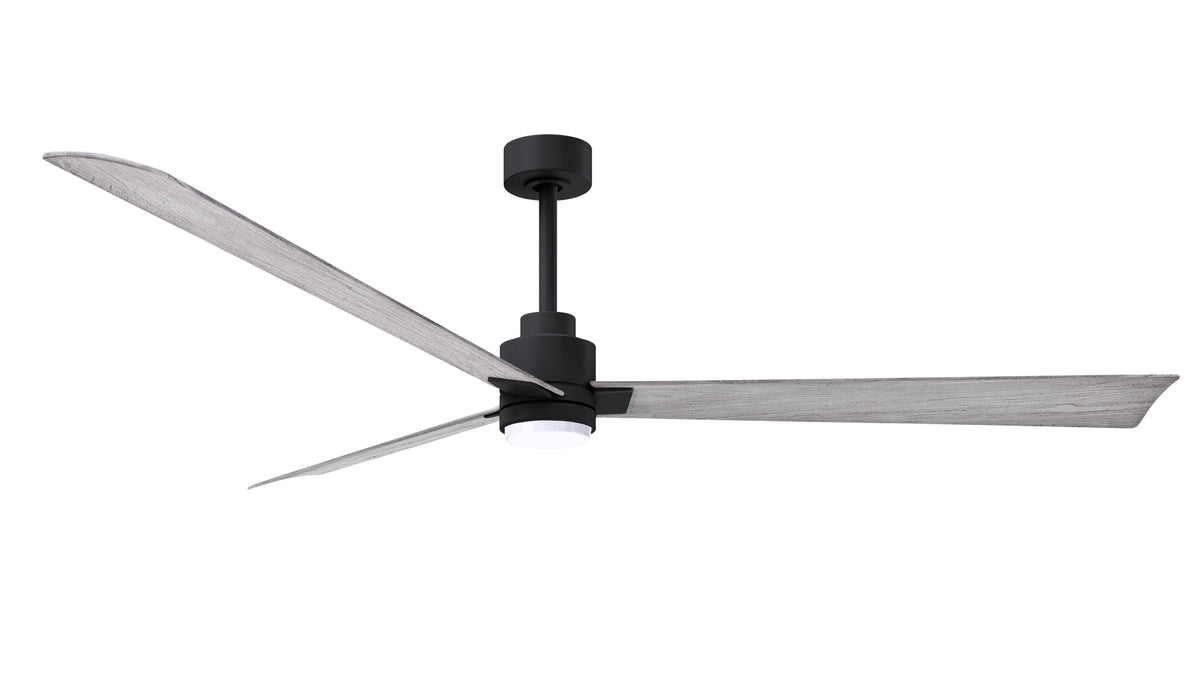 Alessandra - LK - Ceiling Fan