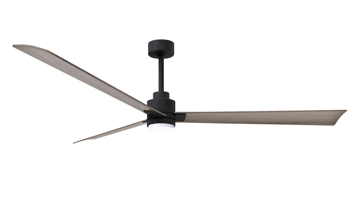 Alessandra - LK - Ceiling Fan