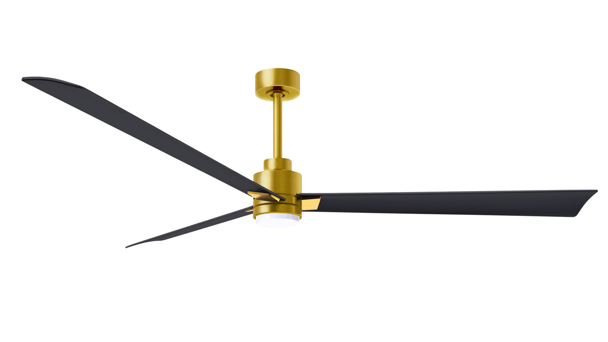 Alessandra - LK - Ceiling Fan