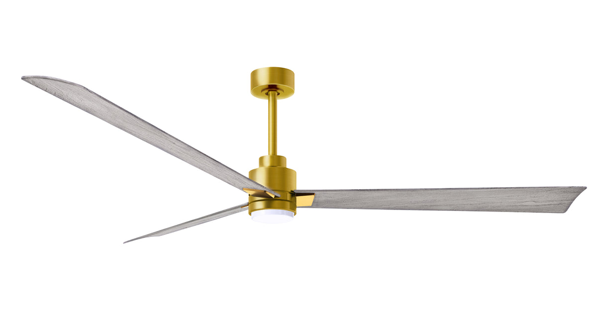 Alessandra - LK - Ceiling Fan