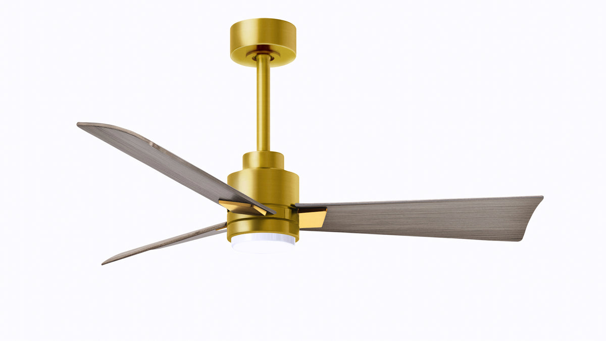 Alessandra - LK - Ceiling Fan