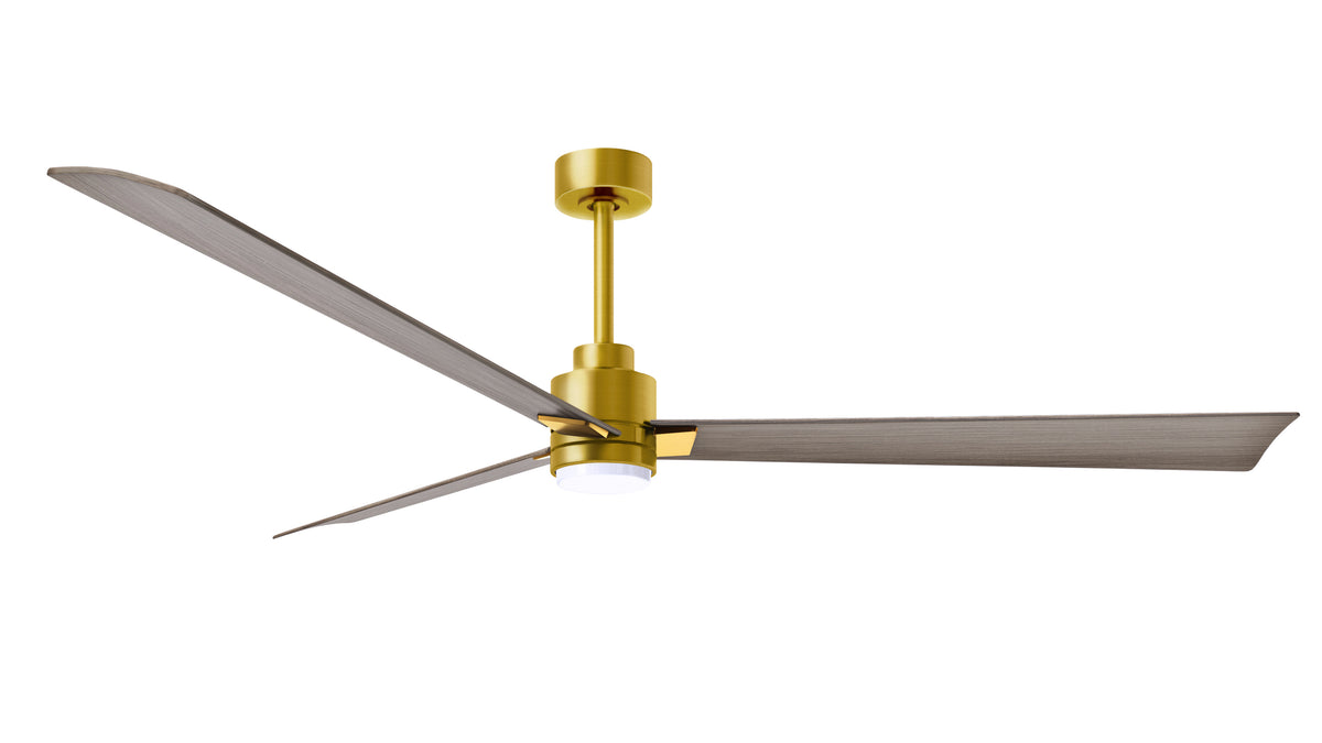Alessandra - LK - Ceiling Fan