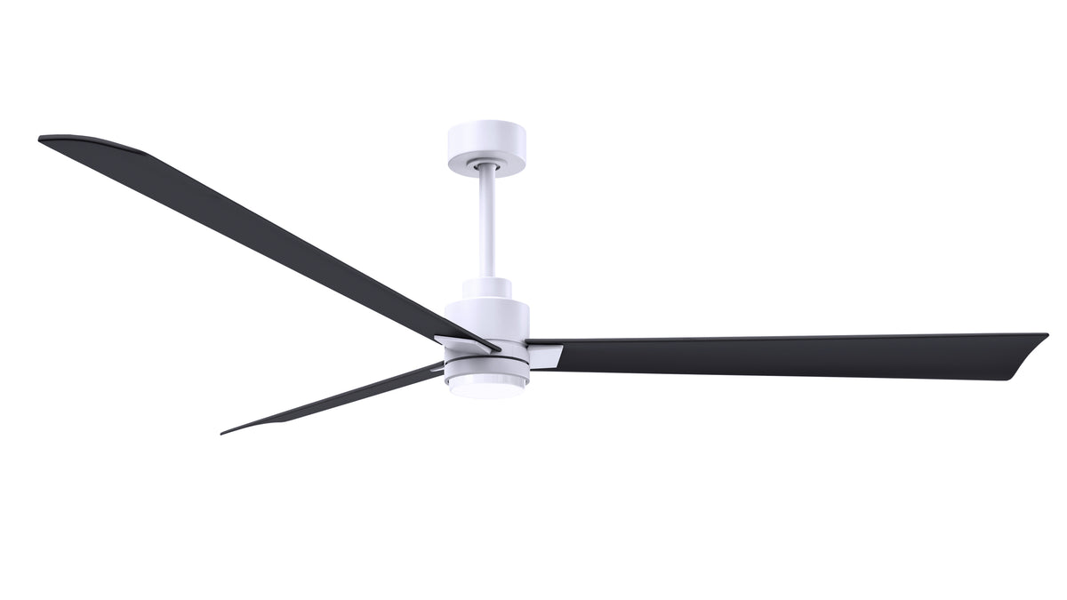 Alessandra - LK - Ceiling Fan