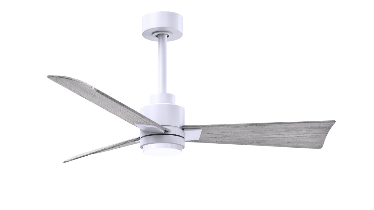 Alessandra - LK - Ceiling Fan