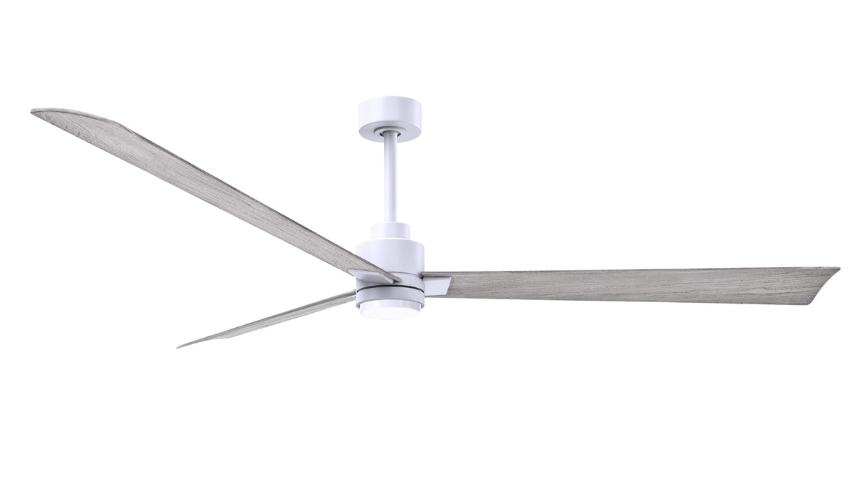 Alessandra - LK - Ceiling Fan
