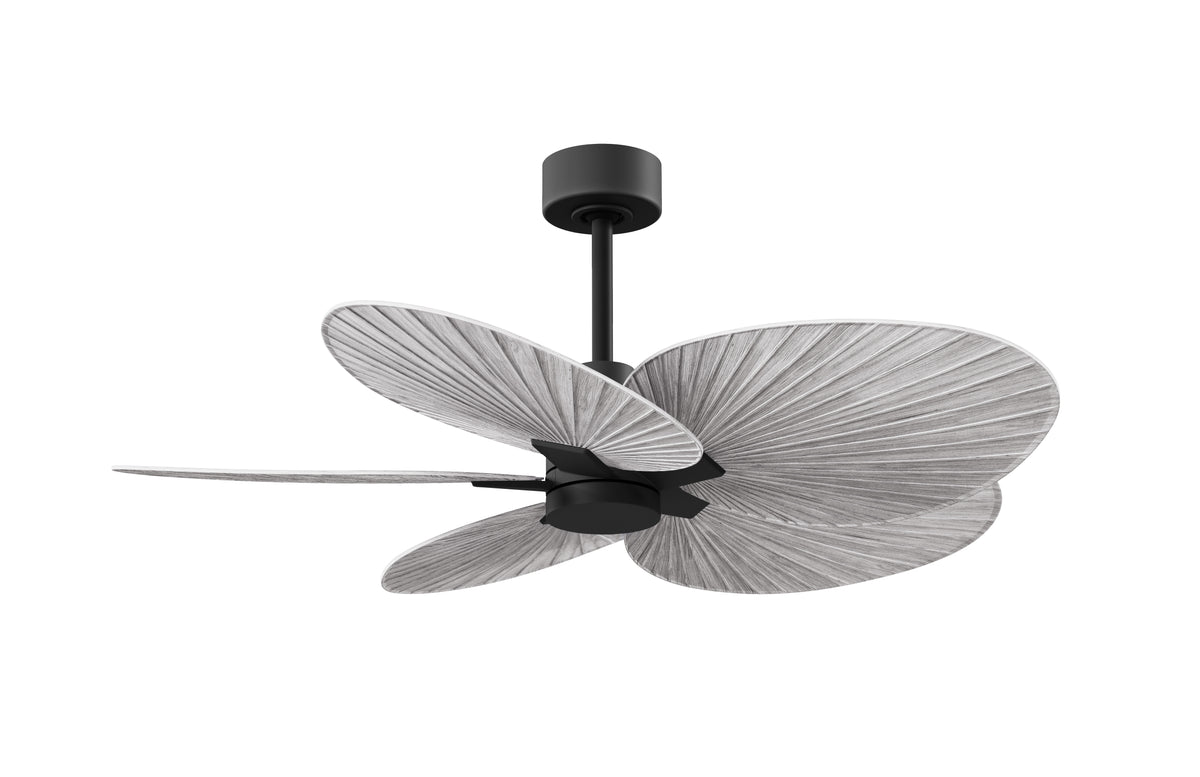 Alessandra Tropical - Ceiling Fan