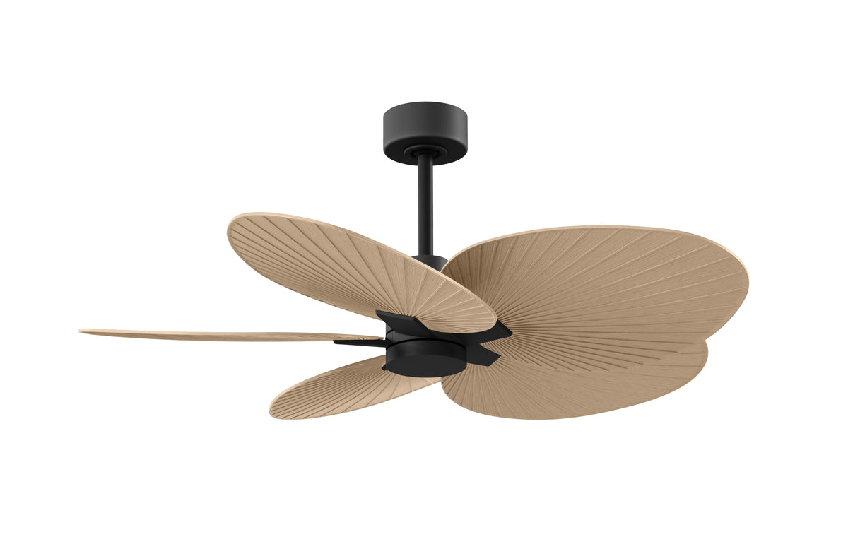 Alessandra Tropical - Ceiling Fan