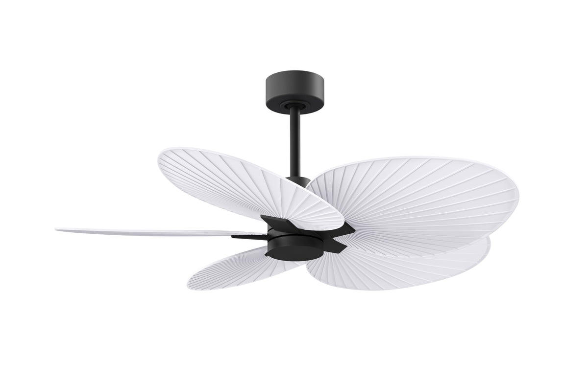 Alessandra Tropical - Ceiling Fan