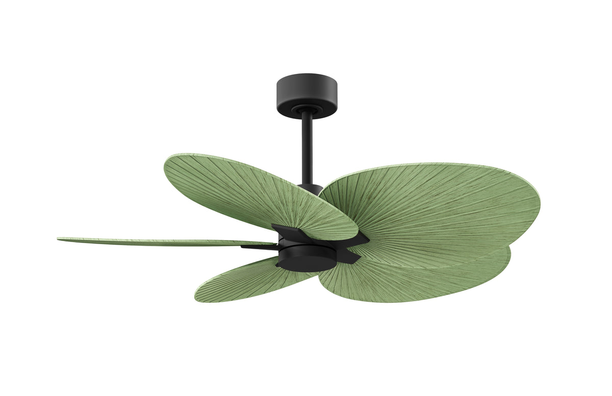 Alessandra Tropical - Ceiling Fan