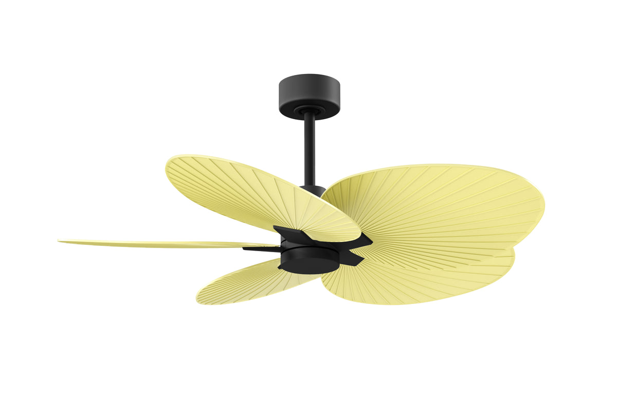 Alessandra Tropical - Ceiling Fan