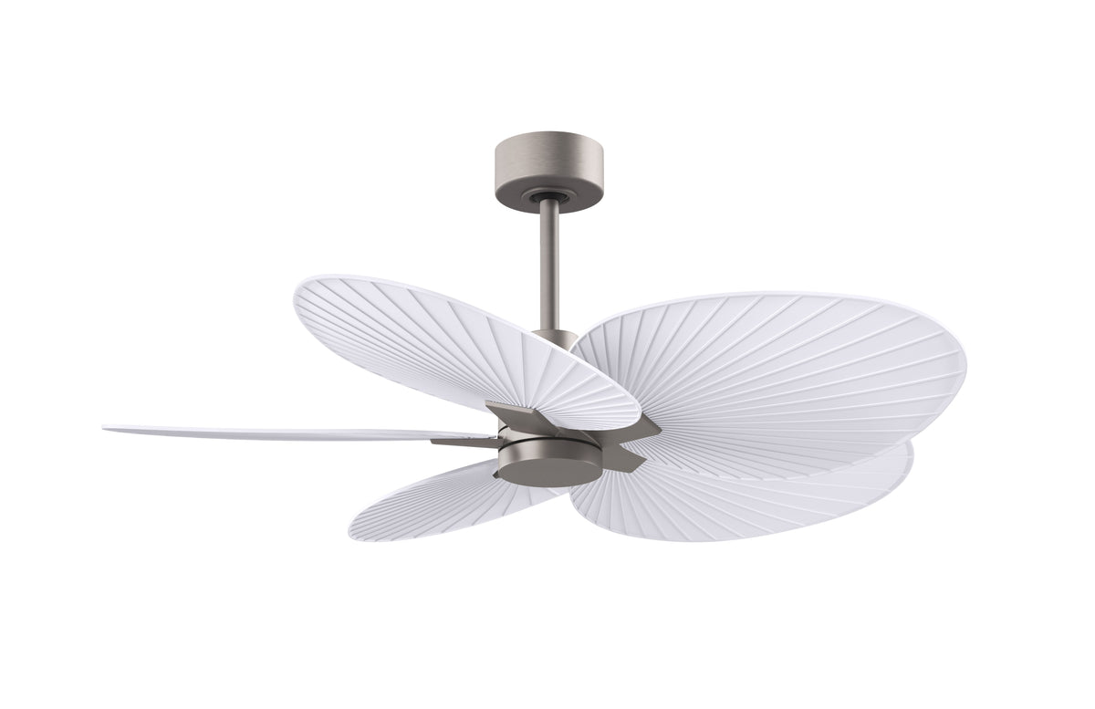 Alessandra Tropical - Ceiling Fan