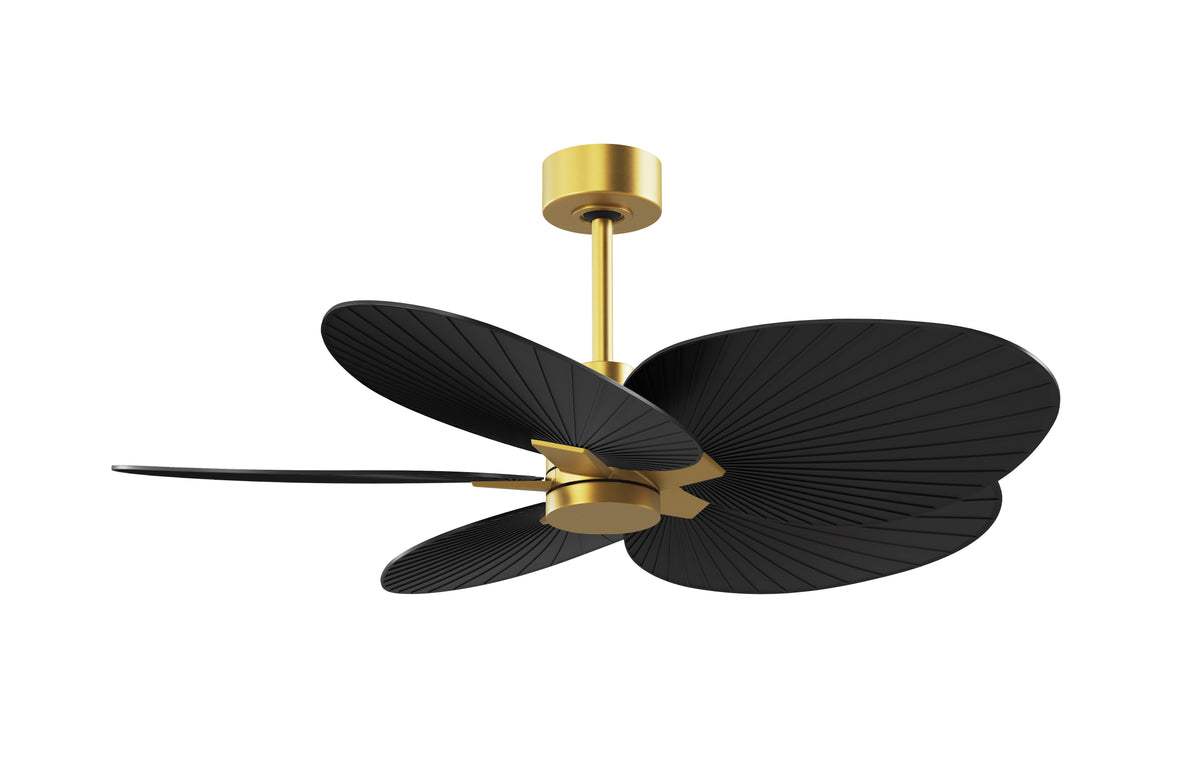 Alessandra Tropical - Ceiling Fan