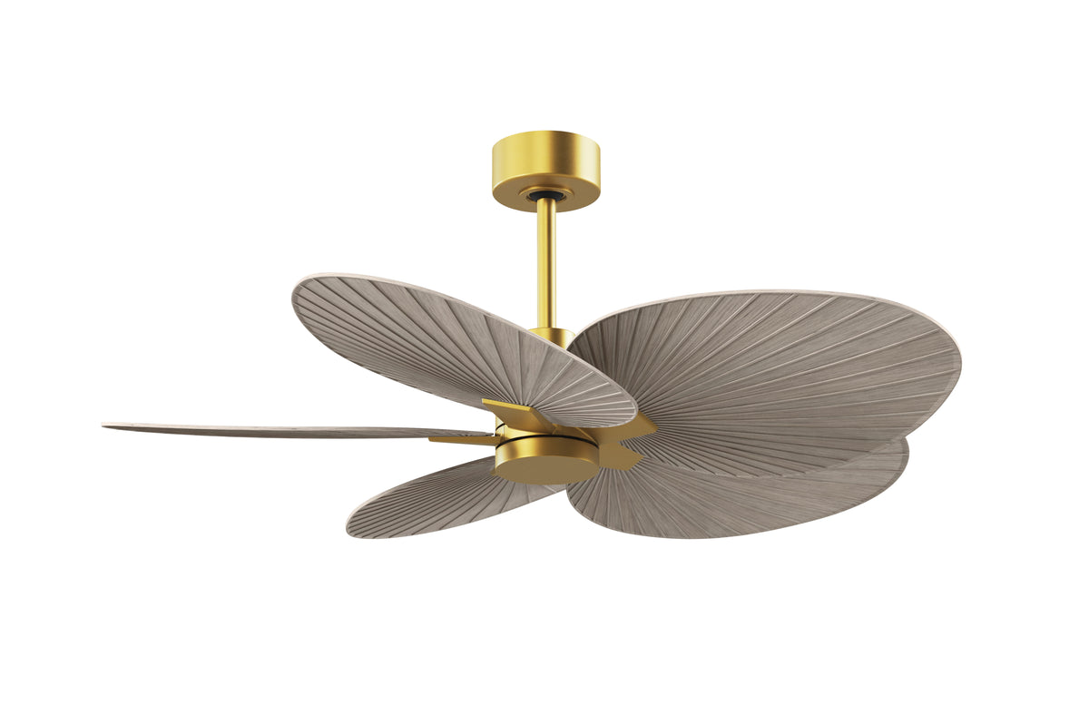 Alessandra Tropical - Ceiling Fan