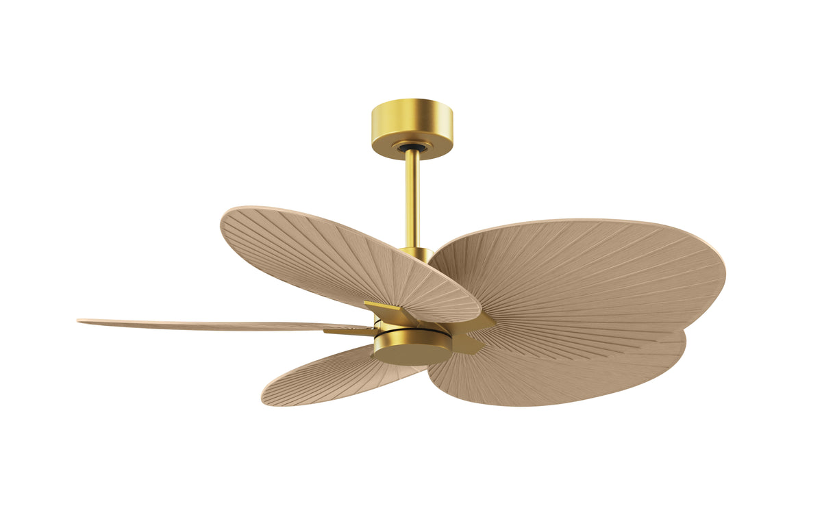 Alessandra Tropical - Ceiling Fan