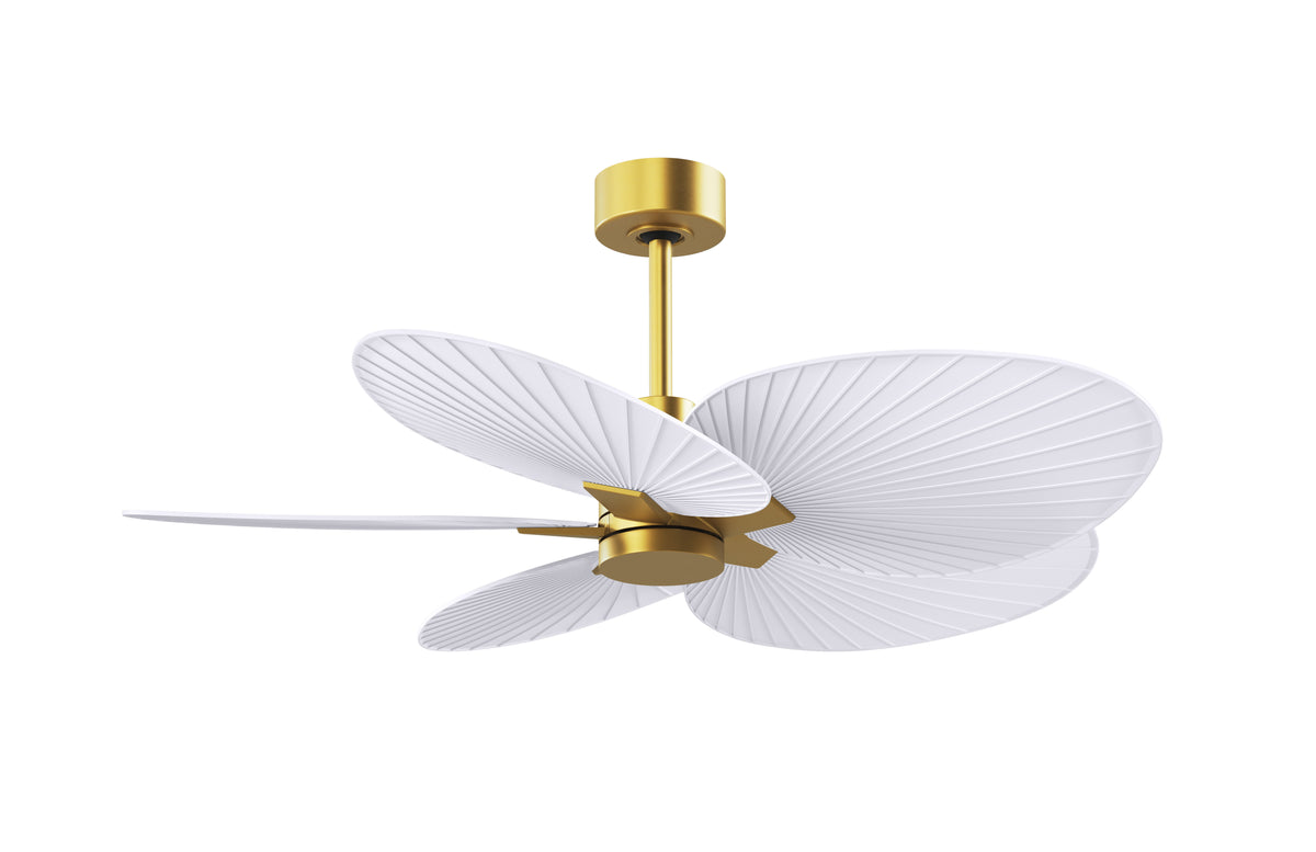 Alessandra Tropical - Ceiling Fan