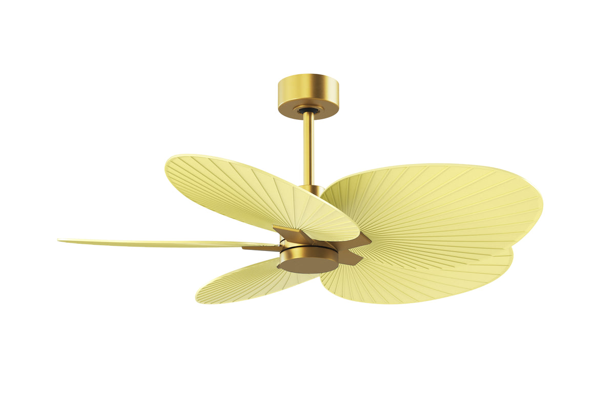 Alessandra Tropical - Ceiling Fan
