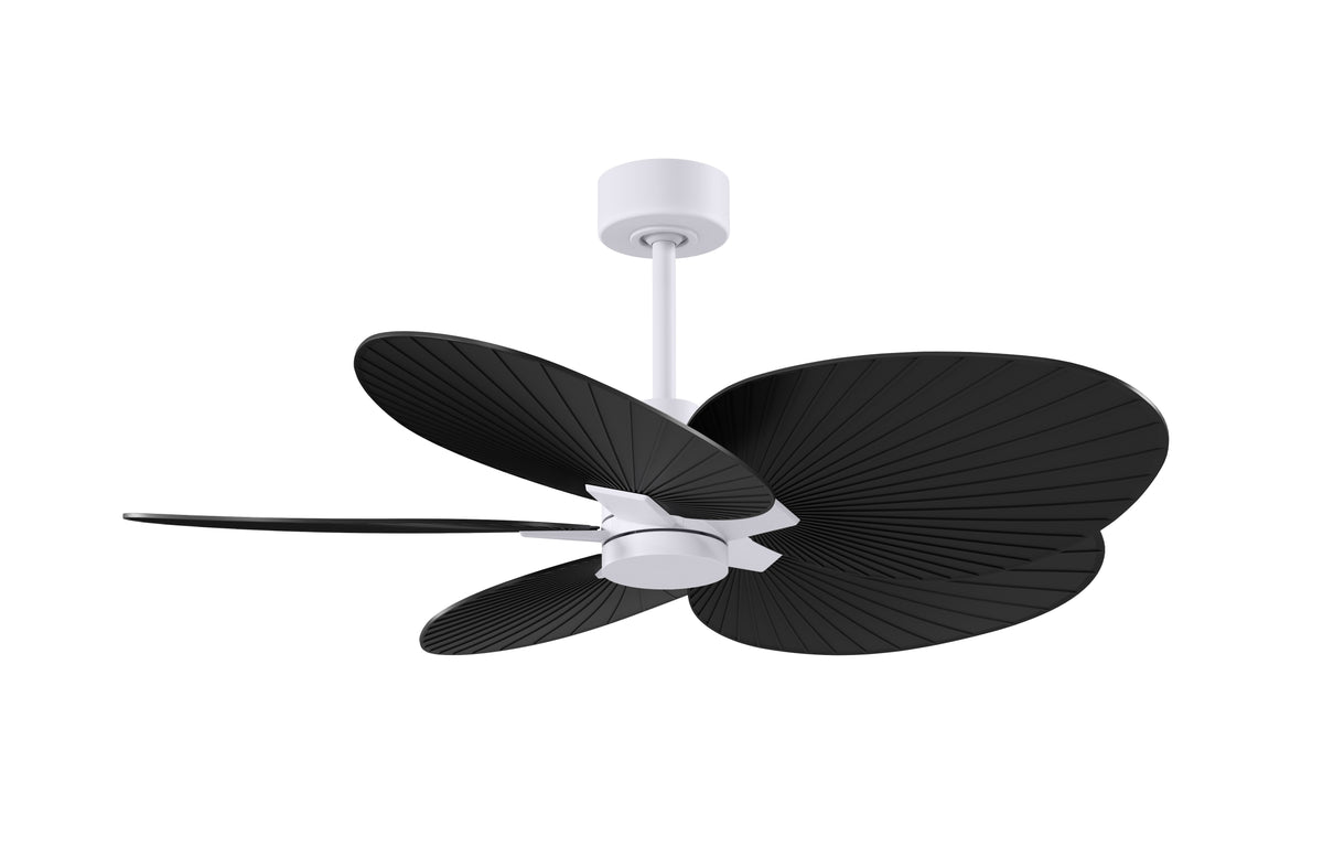 Alessandra Tropical - Ceiling Fan
