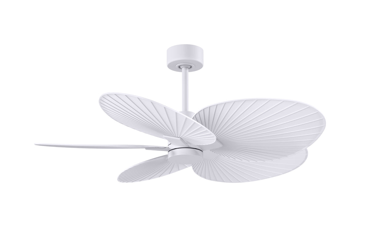 Alessandra Tropical - Ceiling Fan