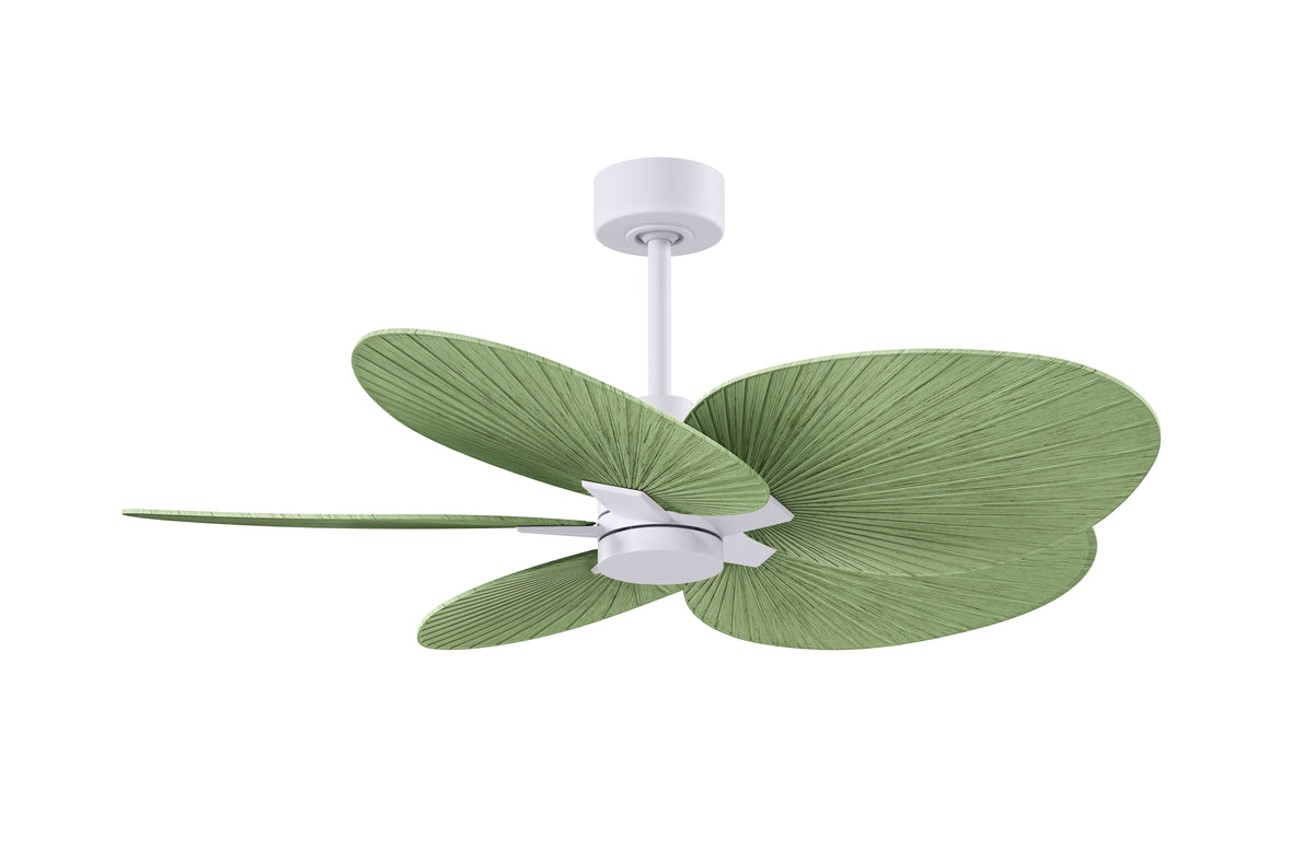 Alessandra Tropical - Ceiling Fan