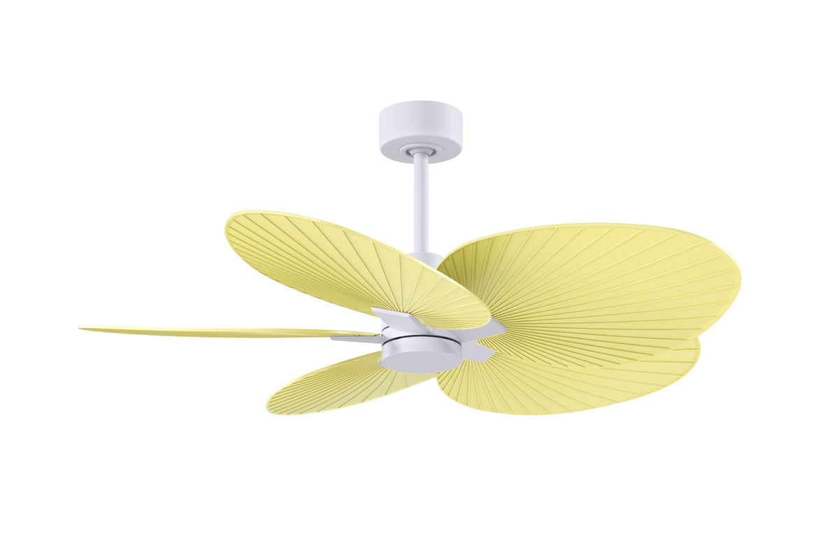 Alessandra Tropical - Ceiling Fan