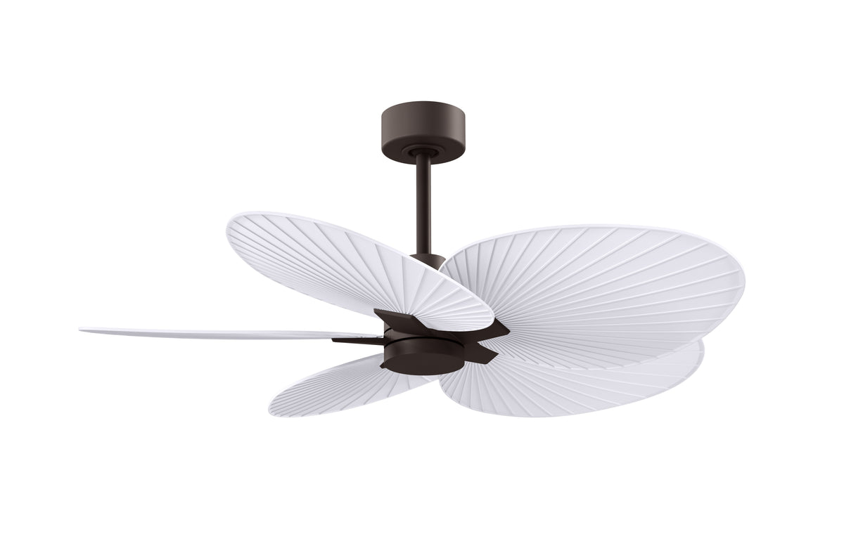 Alessandra Tropical - Ceiling Fan