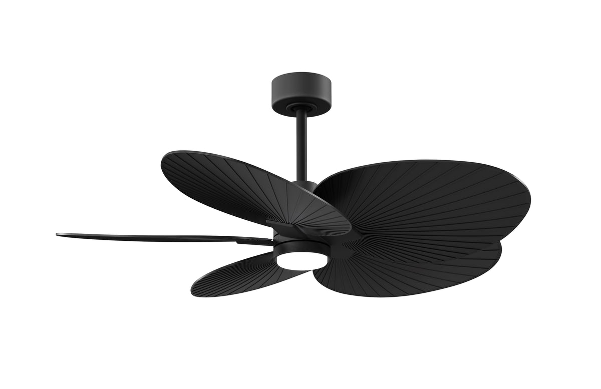 Alessandra Tropical - LK - Ceiling Fan