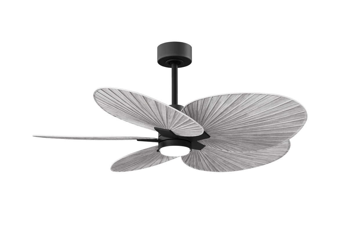 Alessandra Tropical - LK - Ceiling Fan